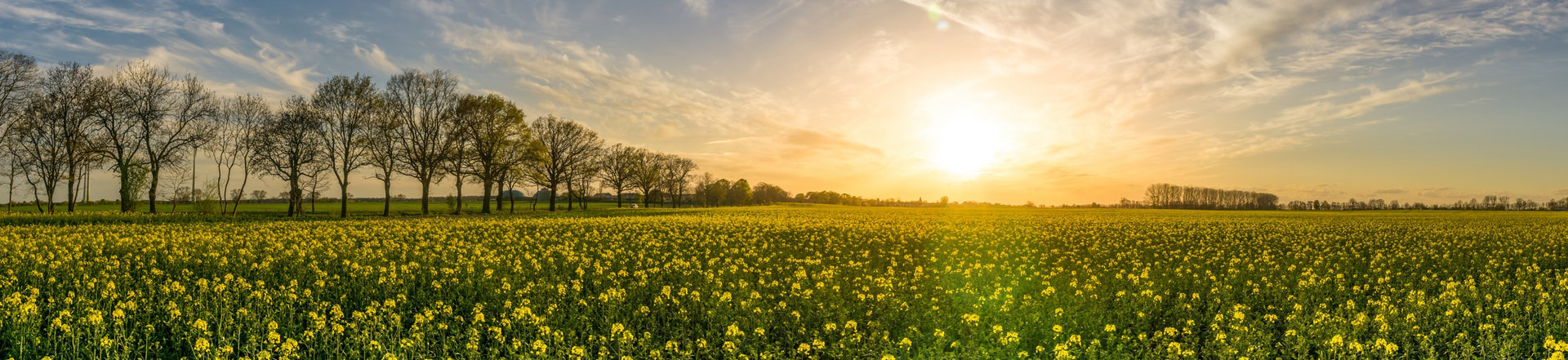 About Header Breadcrumbs