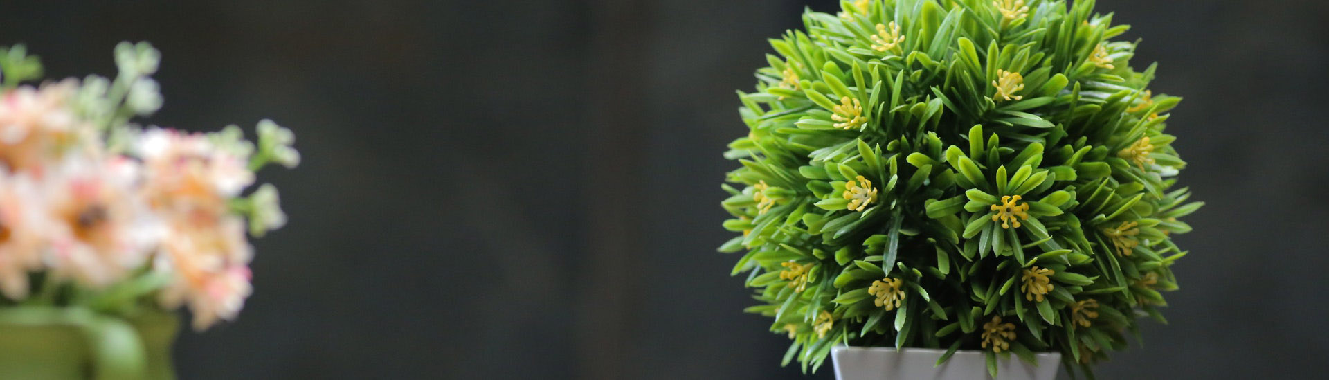 Testimonials Background